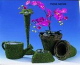 Moss Flower Pot