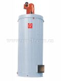 Vertical Oil-Fired Thermal Oil Boiler (YYL)