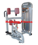 Gym and Gym Equipment, Body Building, Hammer Strength, Rotary Torso (HP-3034)