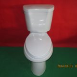 Us Style Ceramic Two Piece Toilet