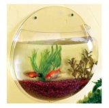 Wall Mounted Acrylic Fish Tank Fish Jar Fish Globe Aquarium Wall Decoration