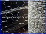 Hot DIP Galvanized Hexagonal Wire Netting
