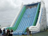 Gaint Inflatable Slide (SL-023)
