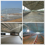 Steel Poultry Shed Construction and Design