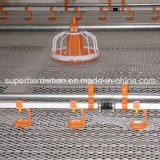 Poultry Nipple Drinking Equipment for Chicken Farm