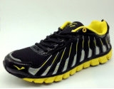 New Sports Shoes Running Shoes for Male and Female Sports Wear