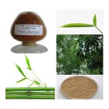 High Quality Bamboo Extract 70%Silica