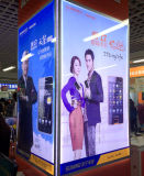 Shopping Mall Wall Mounted Advertising Billboard and Edgelit Picture Display