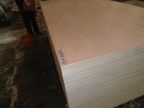 Okoume Plywood/Wood Plank