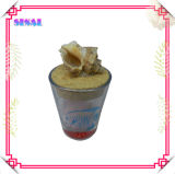 Seashell Round Cup Handmade Gifts Souvenir