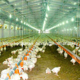 High Quality Poultry Control Shed Equipment for Broiler