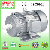 Y Series Three-Phase Induction Electric Motor 220V