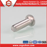 Stainless Steel Cup Head Square Neck Bolt with Large Head