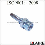 Hydraulic Metric Male 24 Degree Cone Seat Pipe Hose Fittings