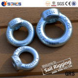 Electrical Galvanized Iron Ring Nut (DIN 582)