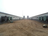 Full Set High Quality Steel Structure Poultry House for Chickens