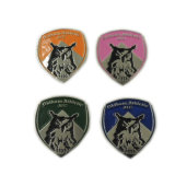 Customized Metal Football Club Enamel Badges (Xd-B260