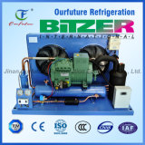 Bitzer Air Cooled Ice Rink Condensing Unit
