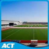 Anti-Fire Synthetic Grass for Olympic Games