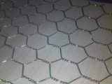 Anping Hexagonal Wire Mesh/Hexagonal Mesh/PVC Hexagonal Mesh