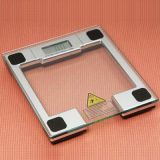 Electronic Healthy Scale