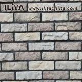 Man Made Culture Stone for Building Decoration in Construction (YLD-11007)