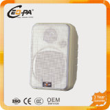 PA System Full Frequency Wall Mount Speaker (CE-09)