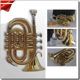 Gold Plated Bb Key Pocket Trumpet