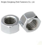 DIN934 5.6 Grade Hex Nuts with Wzp