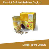 Lingzhi Spore Capsule for Sale