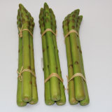 Artificial Vegetable, Imitative Polyfoam Asparagus (AG06-2-0602)