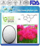 Natural Herbal Extract Galanthamine Hydrobromide 98%-99%