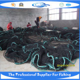 PE Knotless Fish Net (SDC17848_)