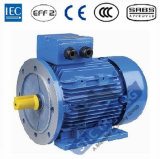IEC Aluminum Ie2 6pole High Efficiency AC Motor