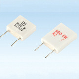 Rgc (RX27-6) Power Wirewound Variable Resistor with ISO 9001
