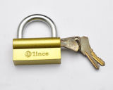 Unique Type Golden Coated Electronic Lock