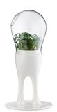 Display Decorative Pot for Office Table Standing Live Office Plants Small Plant Pot for Office Plants