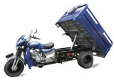 200cc Dump Cargo Tricycle with Five Wheels (TR-8)