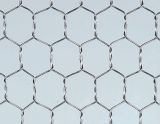 Hot-Dipped Galvanized Hexagonal Wire Mesh
