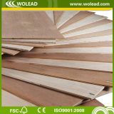 Poplar Core/Hardwood Core/Combi Core Best Price 12mm Plywood (w14090)