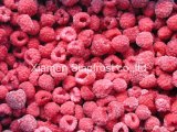 IQF Raspberries, Frozen Raspberries, Cultivated/Wild