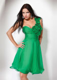 Prom Gown Evening Dress (71648)