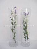 Transparent Glass Vase (SG-V108530) 