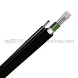 Self-Suporting Optical Fiber Cable (GYFTC8Y)