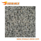 Bianco Sardo - G623 Granite (YX-G863)
