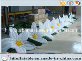 2015 Hot Selling Inflatable Flower 003 for Wedding, Holiday Decoration