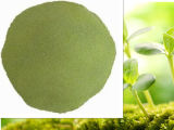 Natural Extract Powder Refined From Seaweed