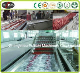 Fruit Cleaning Machine