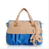 2013 Spring Lady Fashionbable Handbag (YLD0105-22)