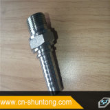 Stainless Steel BSPT Male Hydraulic Fitting for Hose R1at